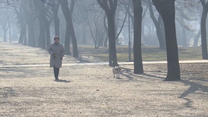 a fogadalmak anatomiaja az uj ev