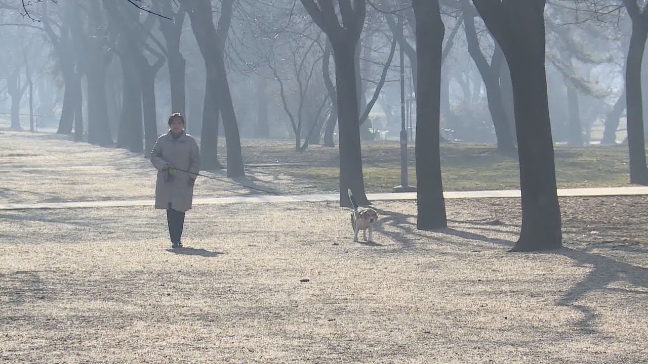 a fogadalmak anatomiaja az uj ev