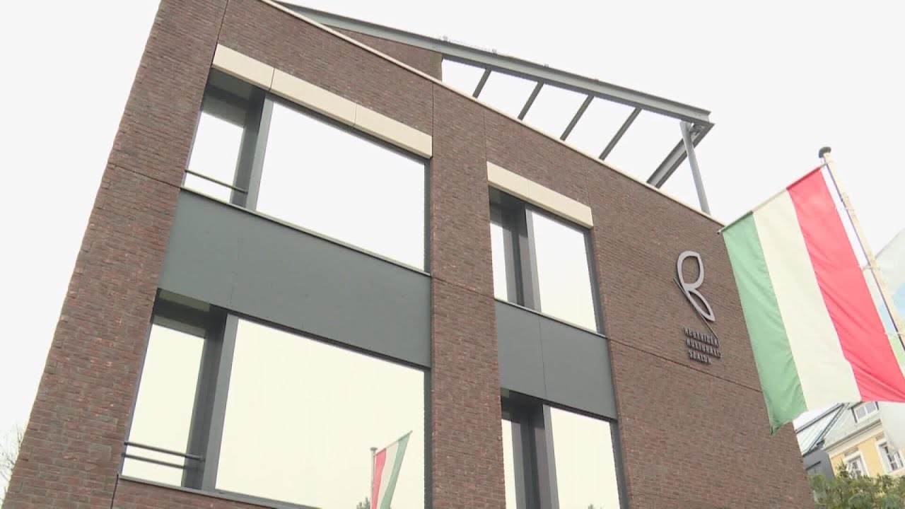 a hegyvideki kulturalis szalonba