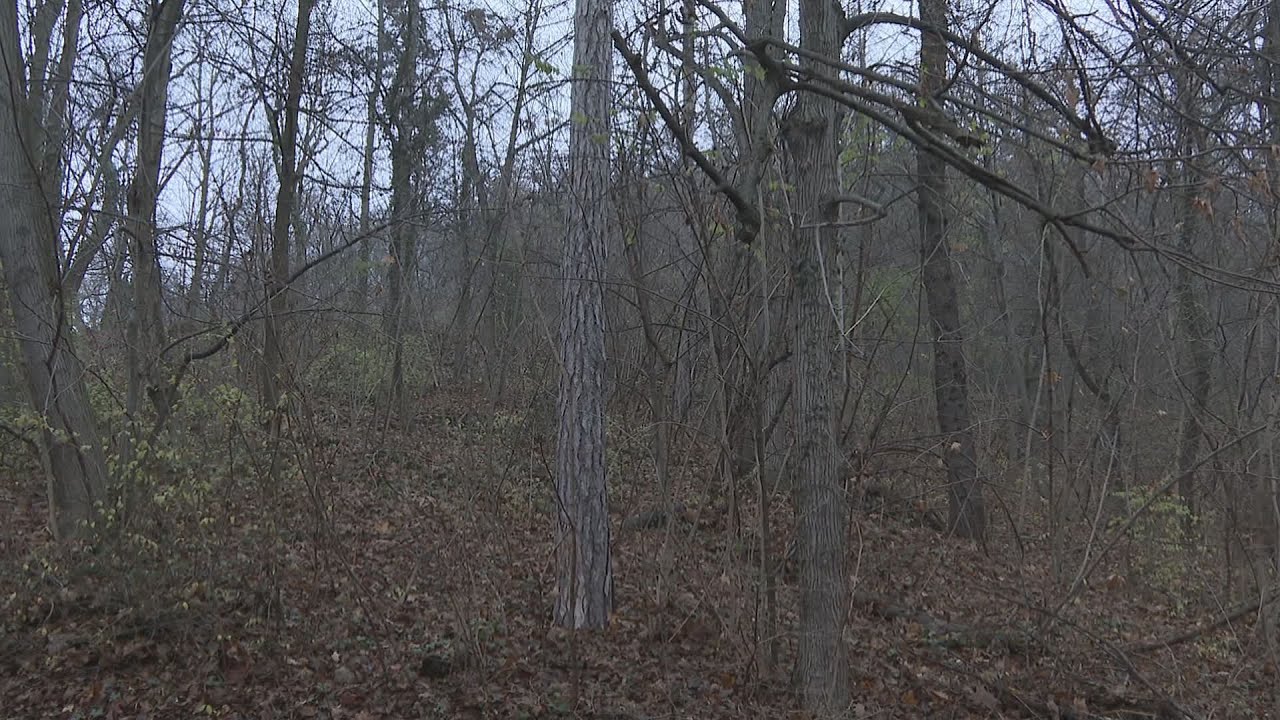 budai hirado 2026 januar 13