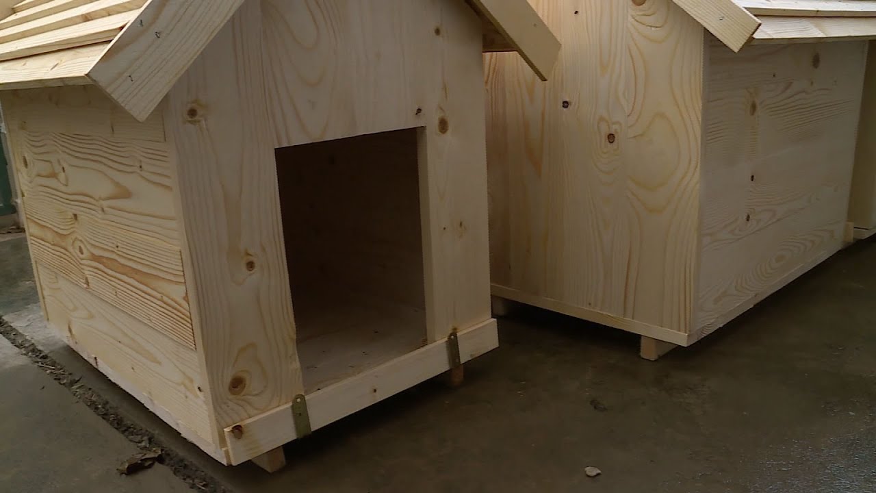 budai hirado 2026 januar 22