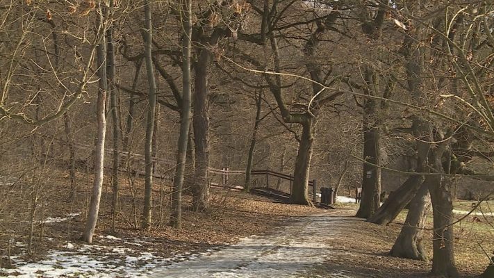 budai hirado 2026 januar 8