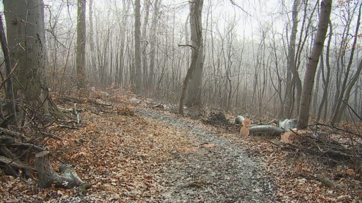 kulonleges projekt az erdokben