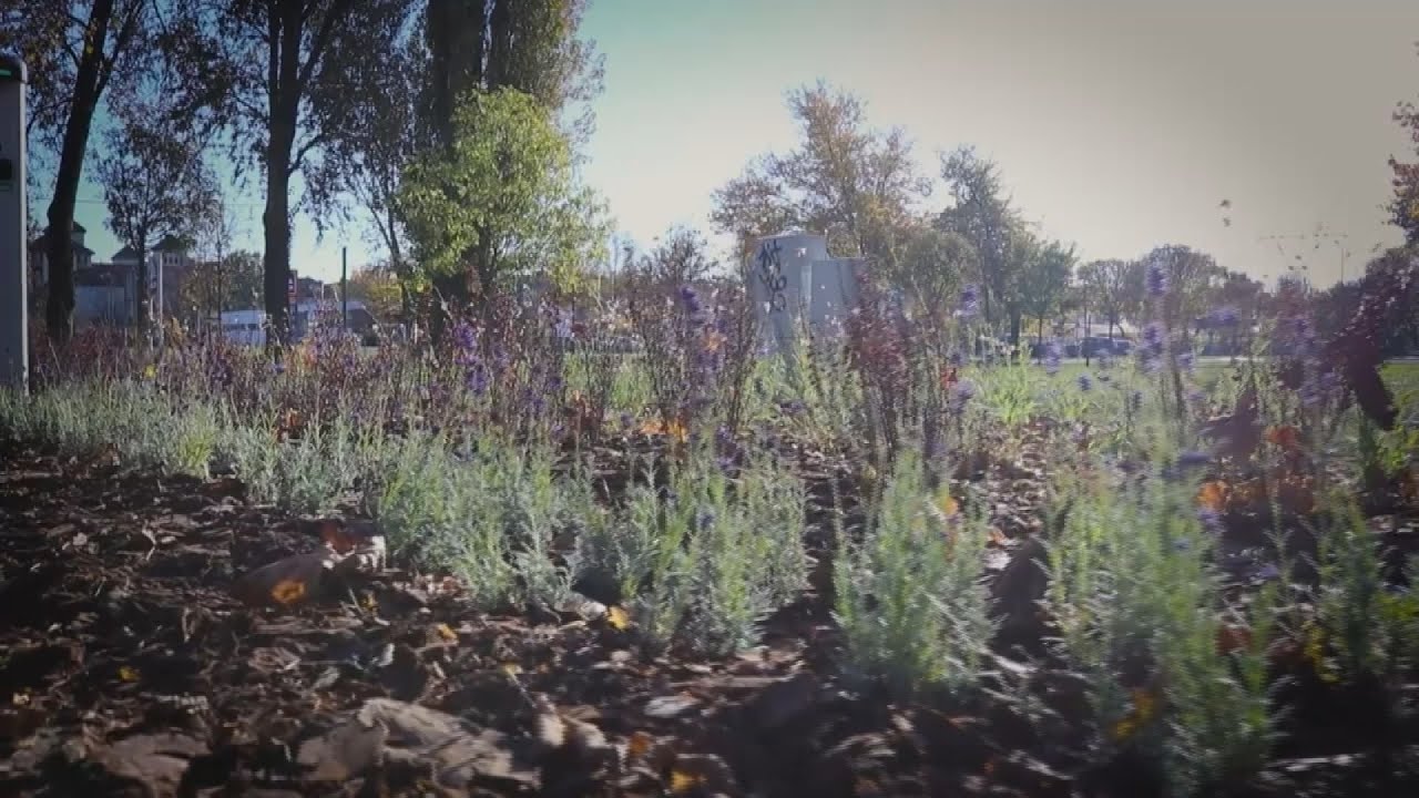 mintaotletek a hegyvideki zold i