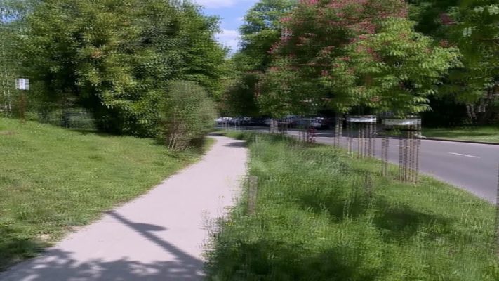 nemzetkozi programok hazai helyt